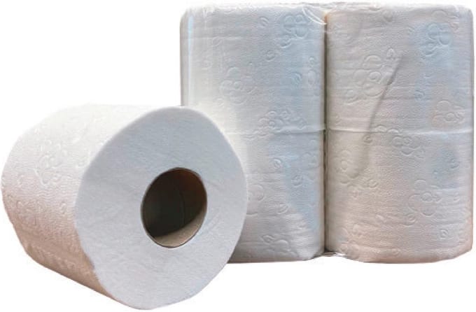 Toiletpapier, 2-laags, 200 vel, pak van 12 x 4 rollen