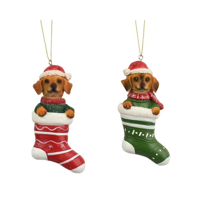 Hond polyresin 2ass