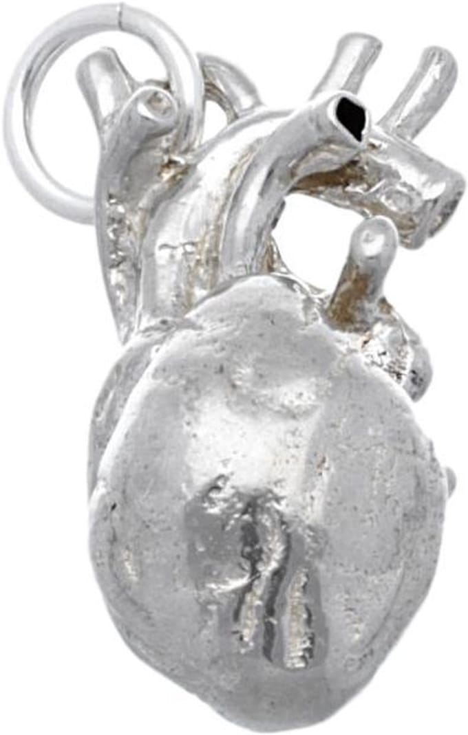 Zilveren Hart anatomie groot kettinghanger