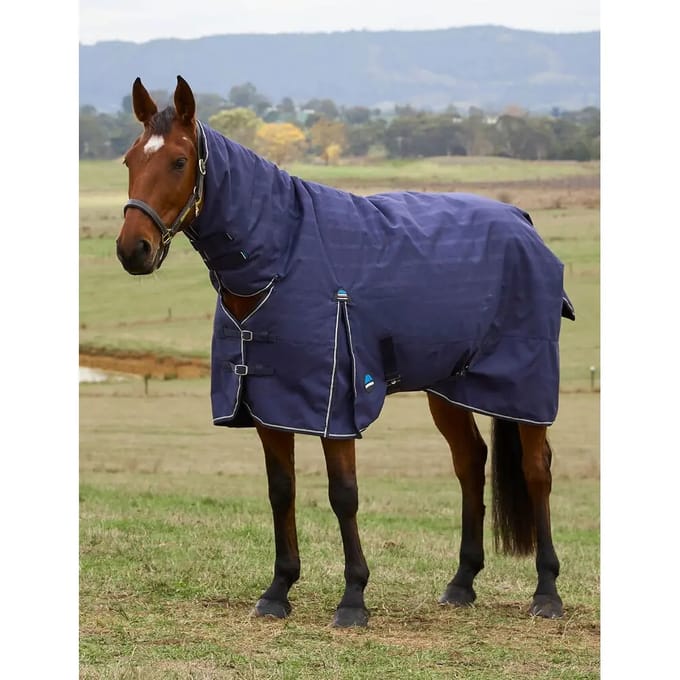 Outdoor paardendeken Weatherbeeta Comfitec Prelim Combo 220g