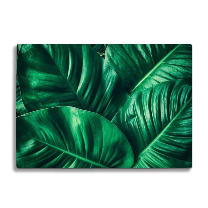 Glassnijplank - Groene Bladeren - Glazen Snijplanken - 35×25 cm - 4mm