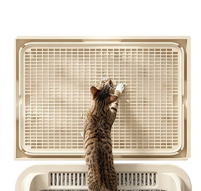 MAGICSHE Mat Kattenbak Gritopvanger - 42 X 28,5 X 2 Cm - Dubbele Laag - Uitloopmat - Kattenbakmat - Kattenbak Accessoires - Schoonloopmat Kattenbak Beige