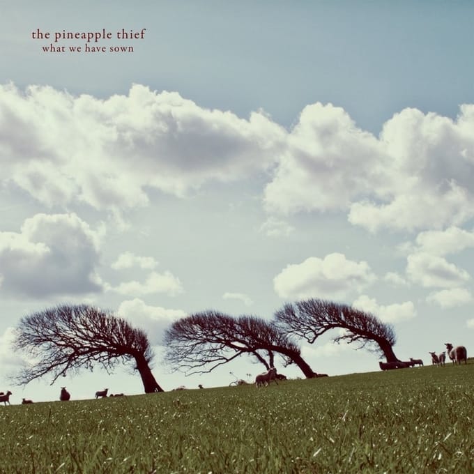 What We Have Sown - Pineapple Thief