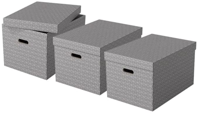 Set van 3 Grote Kartonnen Opbergdozen met Deksel - Milieuvriendelijk en Stijlvol