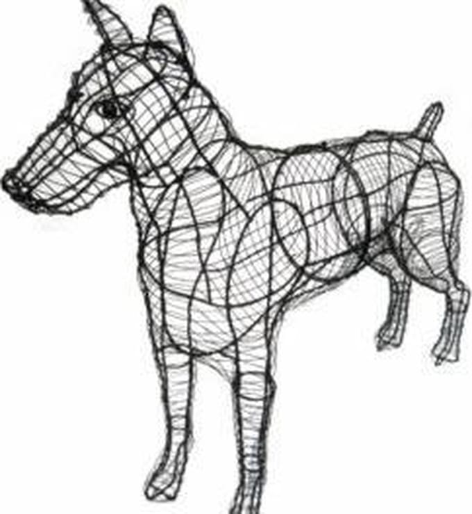 Hond Dobberman - Frame