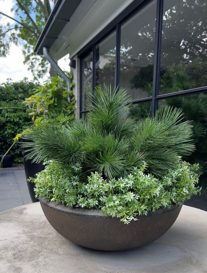 Eucalyptus kunststruikje groen-wit 30cm UV