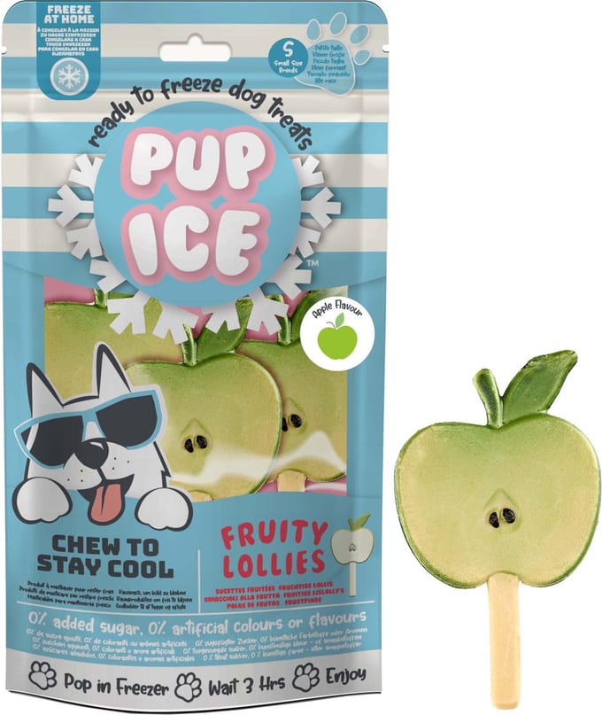 Pup Ice Hondenijsje Fruit Lollie Appel