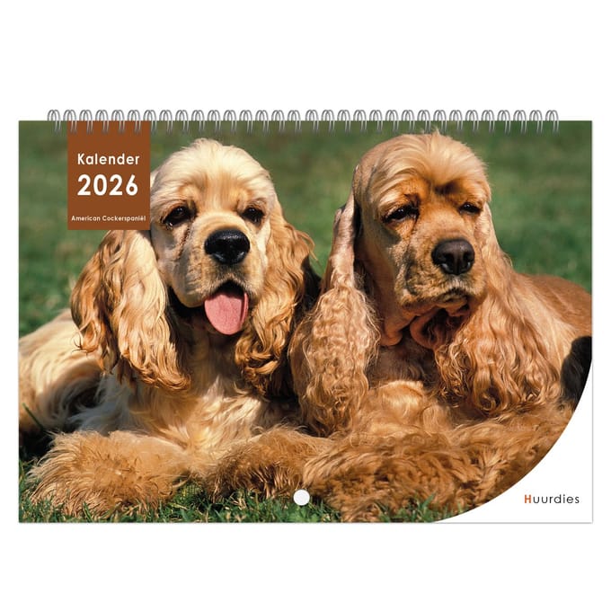 Huurdies - 2026 Kalender - American Cockerspaniël - A4