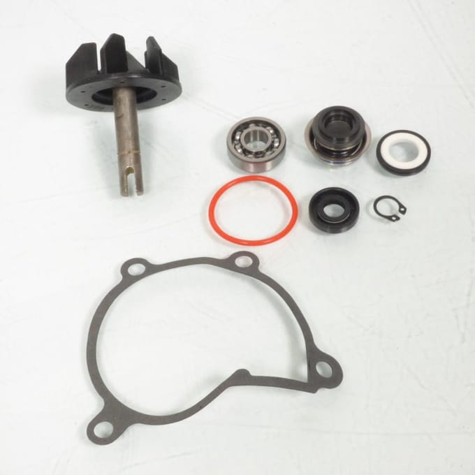 Waterpomp Magneti Marelli voor Motor Yamaha 600 Yzf-R6 2006 tot 2022 Nieuw