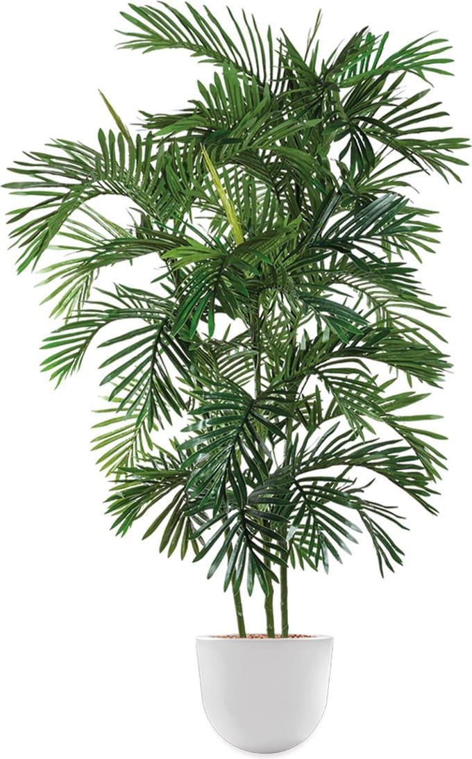 Kunstplant Areca palm in Eggy H175 cm