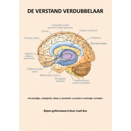 De Verstand Verdubbelaar - Loek Bos