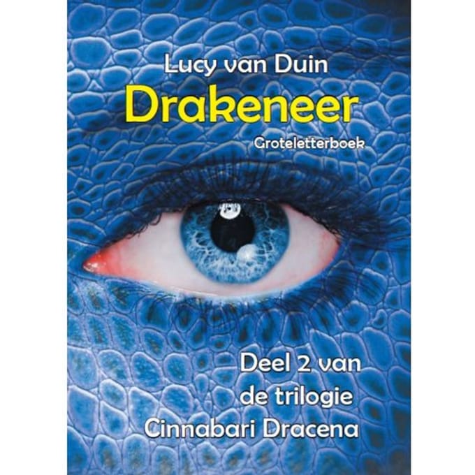 Drakeneer - Groteletterboek 1 Band - Lucy van Duin