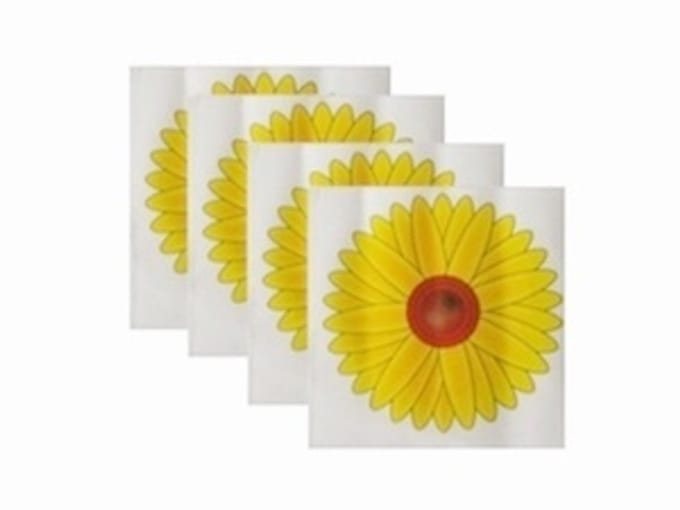 Ecosect Raamvliegenval set van 4 stuks