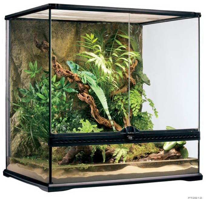Exo Terra Glas Terrarium - Zwart - 60 x 45 x 60 cm