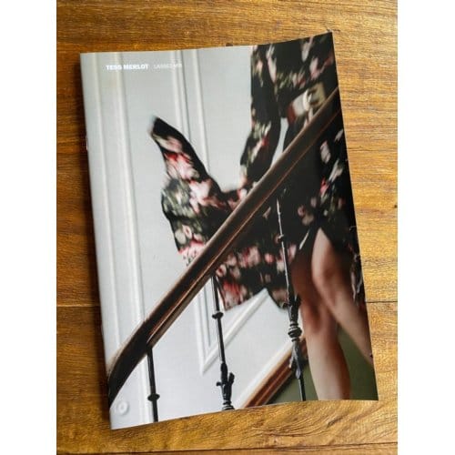 Laissez-moi songbook - Tess Merlot