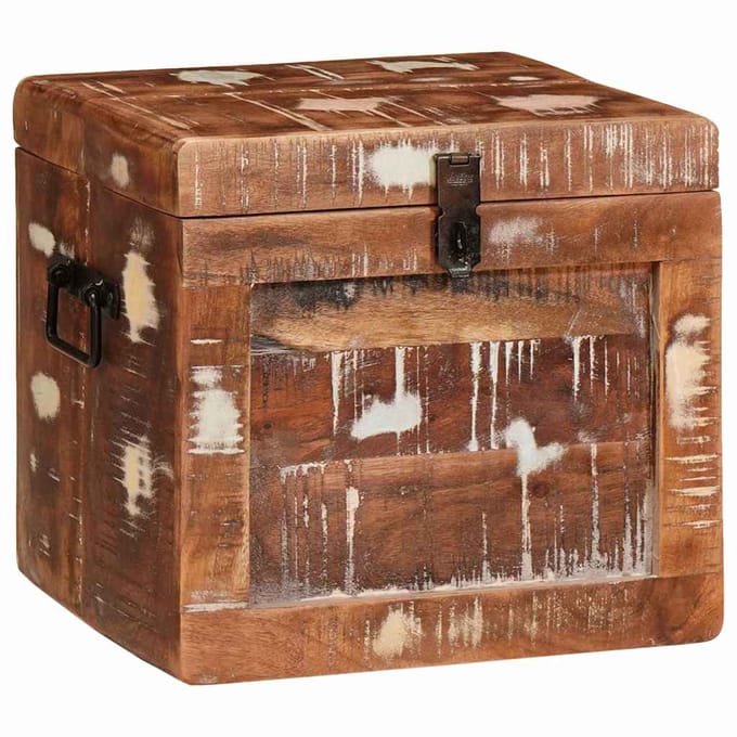 vidaXL - Opbergbox - met - opslag - met - de - deur - Bruin - Massief - Mango - Hout