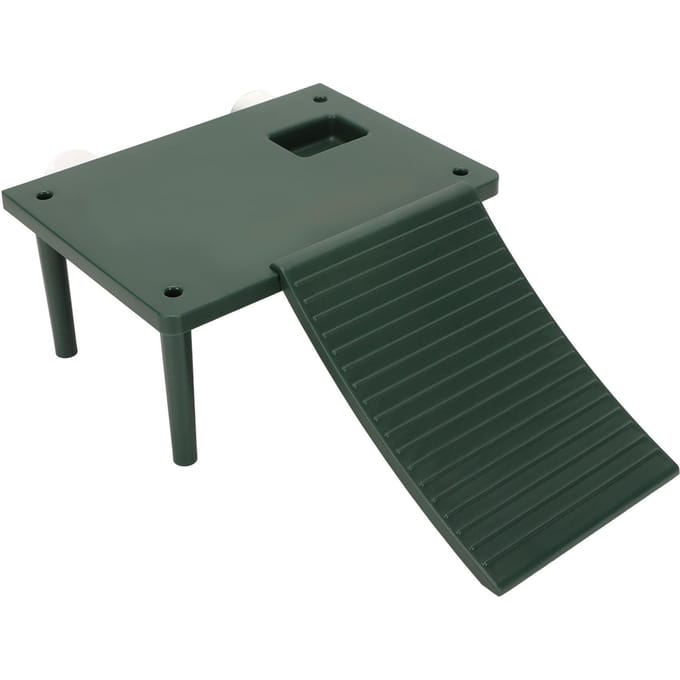 Schildpad Zonneplatform Oefening Klimvermogen Schildpad Rustterras met Klimladder gray