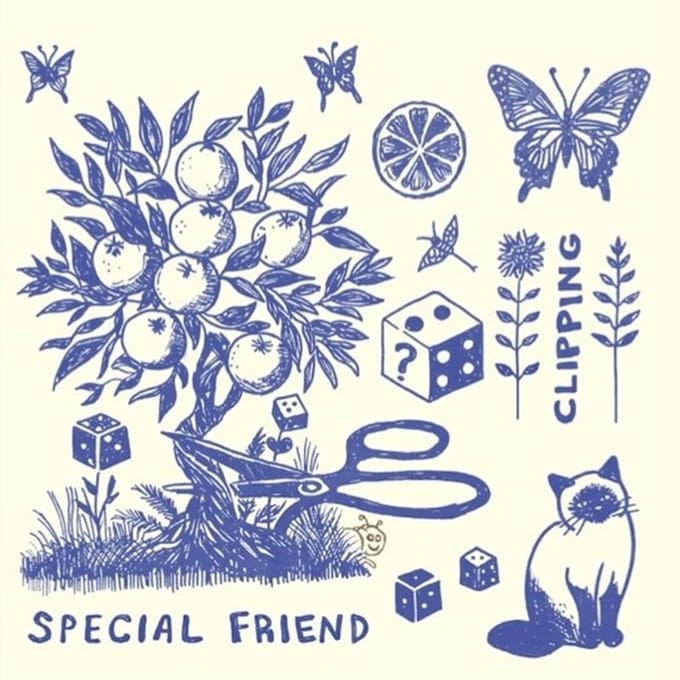 Special Friend - Clipping (LP)