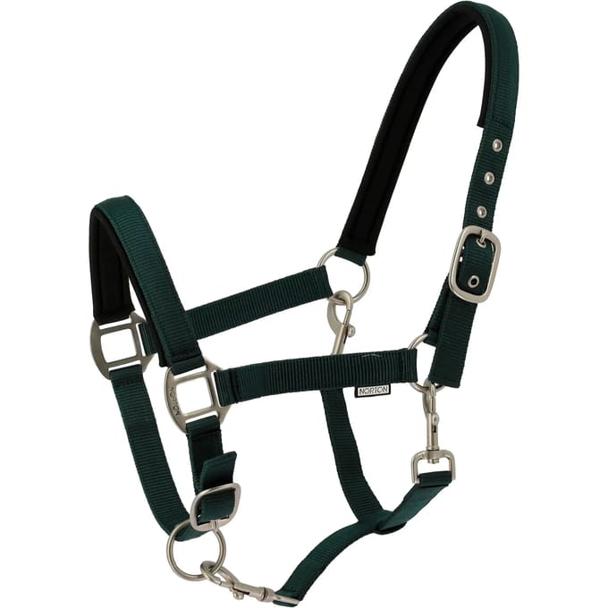 Halster voor paarden Norton Nacre