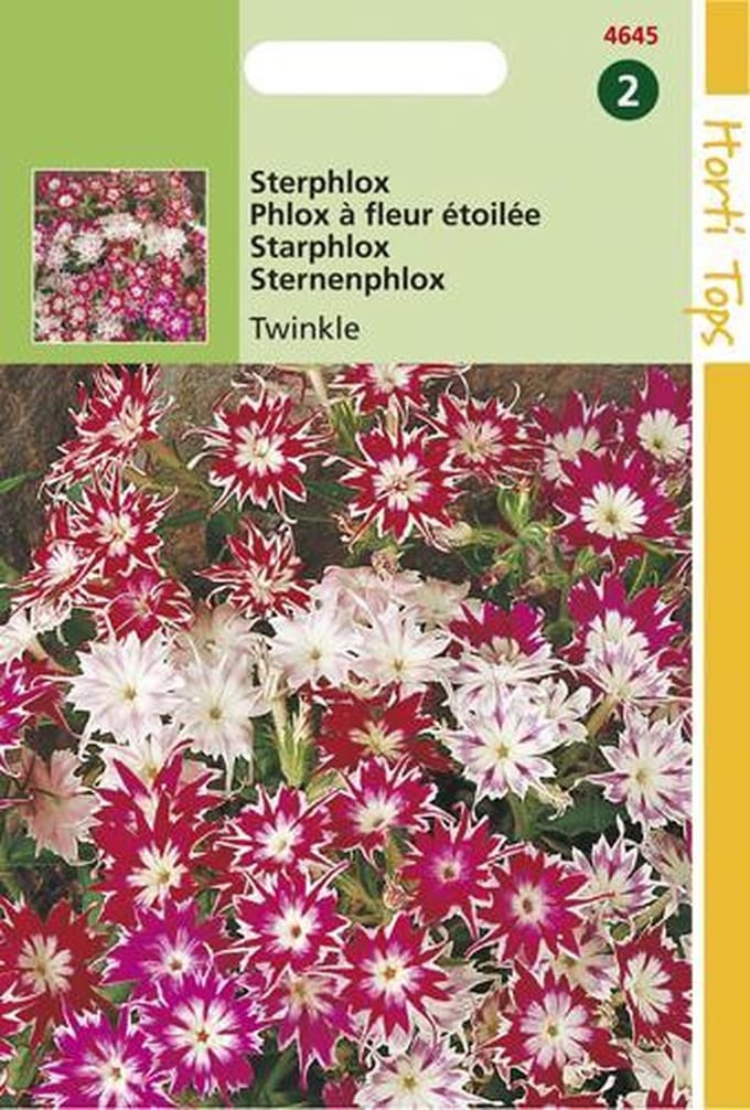 Hortitops Zaden - Phlox Cuspidata Compacta Twinkle Gem.