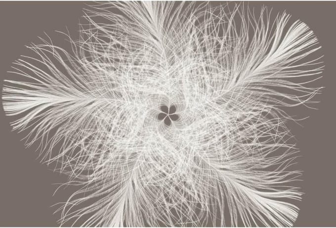 Komar Fotobehang Feather 368x248 cm XXL4-006