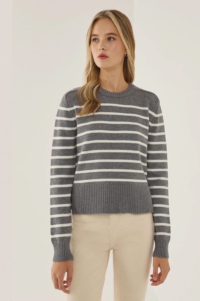 Gestreepte Crew Neck Trui