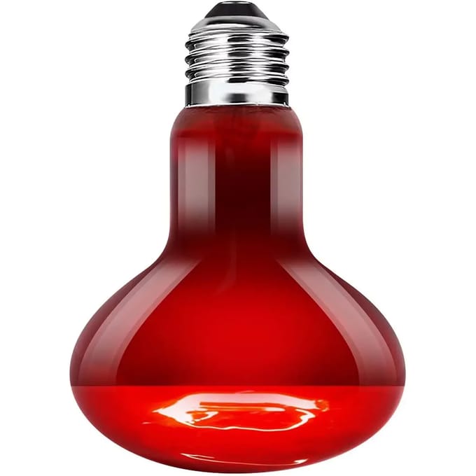 Ampoule voor infrarood zonnen Terra Della
