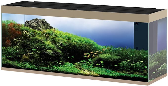 Ciano Emotions Pro 150 | 300L | 149,2 x 39,8 x 61CM Mystic