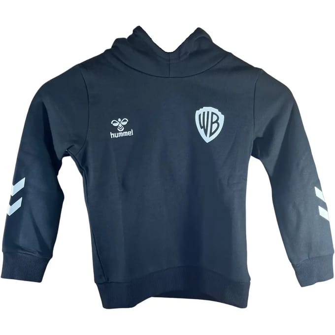 Junior Hoodie Hummel Celebrating Story