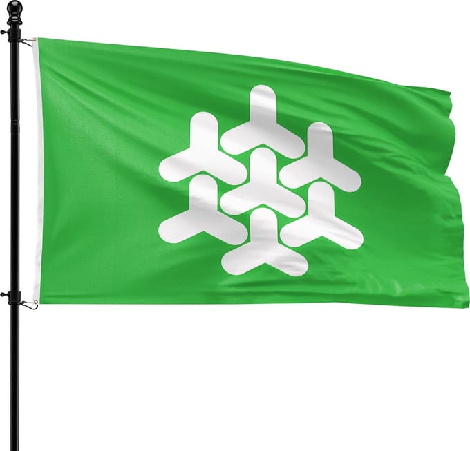 VlagDirect - Dronten vlag - Gemeente Dronten vlag - 90 x 150 cm.