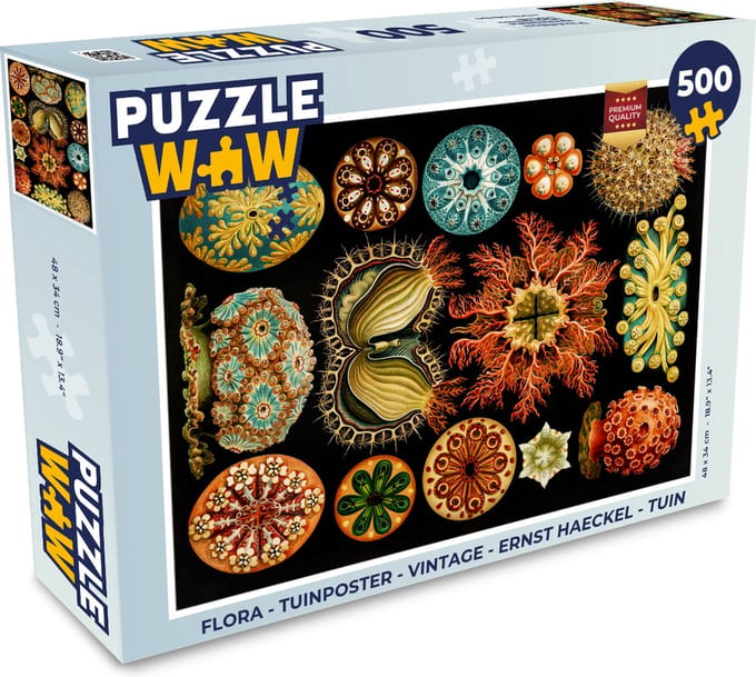 Puzzel Vintage - Ernst Haeckel - Zeedier - Natuur - Zee - Kunst - Legpuzzel - Puzzel 500 stukjes