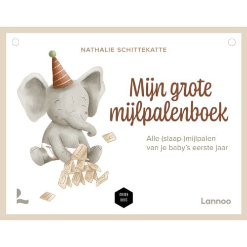 Mijn Grote Mijlpalenboek - Nathalie Schittekatte