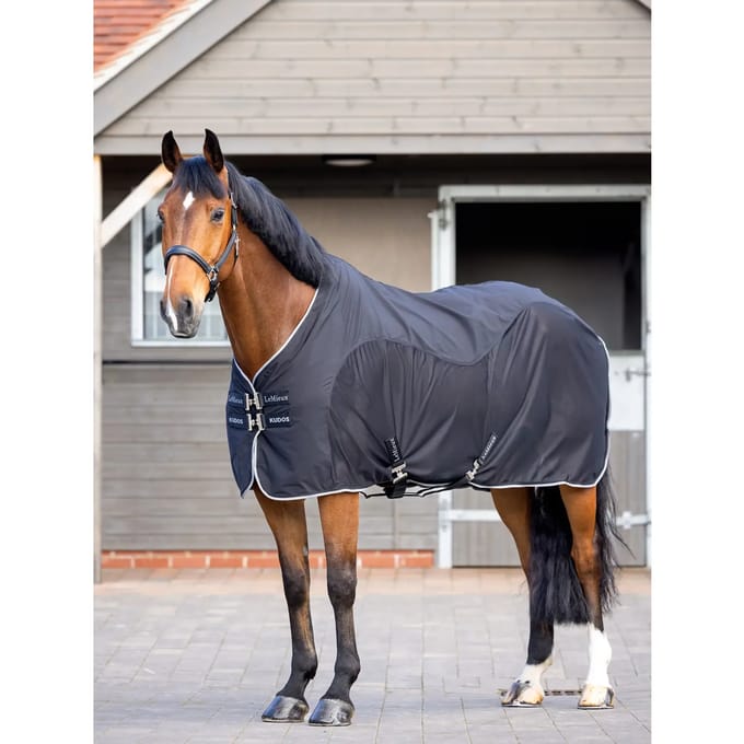 Drooghemd voor paarden LeMieux Kudos Hybrid