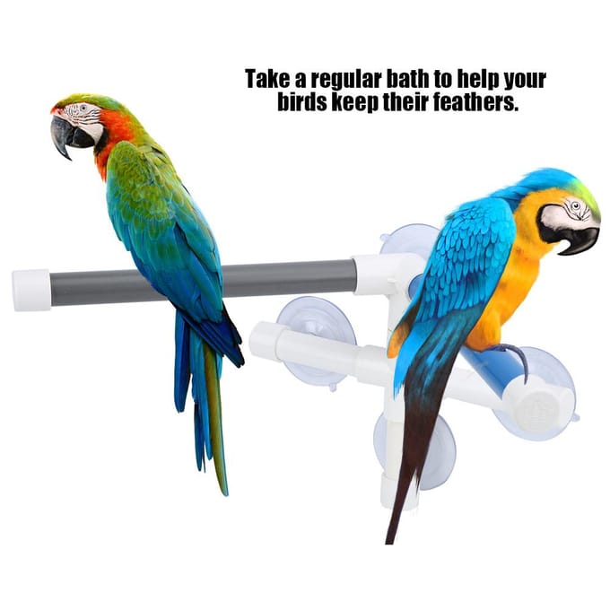 Douche Bain d'Oiseaux en PVC Perchoir de Bain avec Ventouse pour Perroquet Ara white