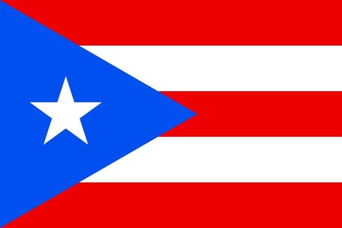 Vlag Puerto Rico 30x45cm