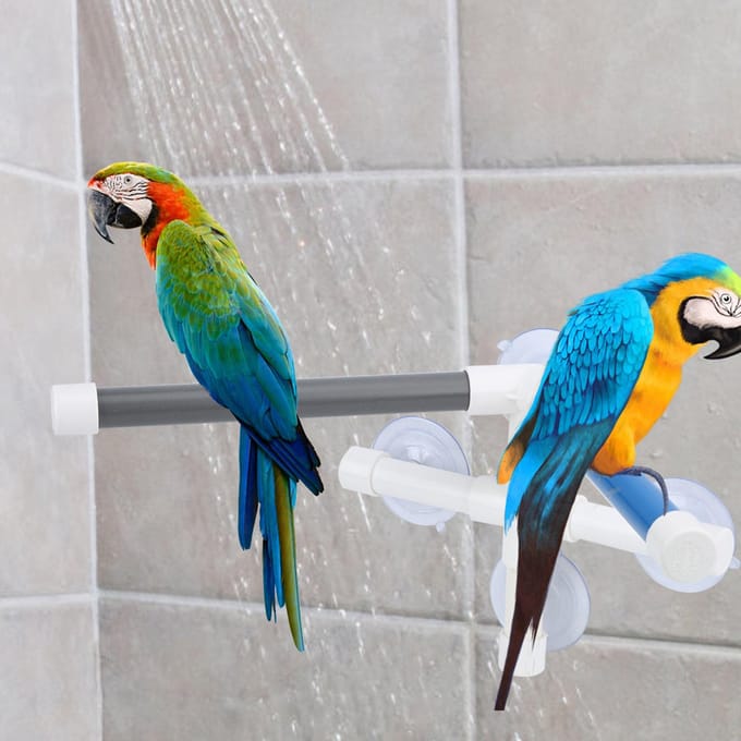 Douche Bain d'Oiseaux en PVC Perchoir de Bain avec Ventouse pour Perroquet Ara blue