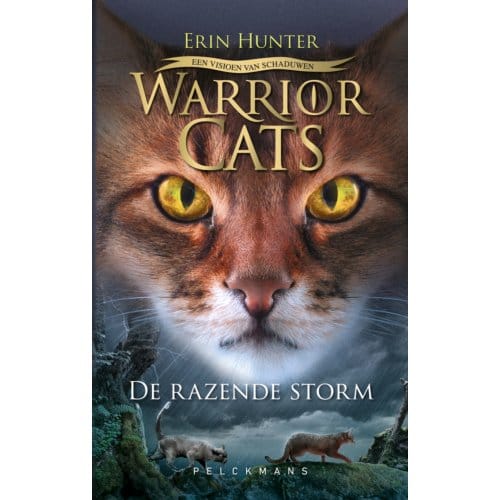 Een Visioen Van Schaduwen: / De Razende Storm - Warrior Cats - Erin Hunter