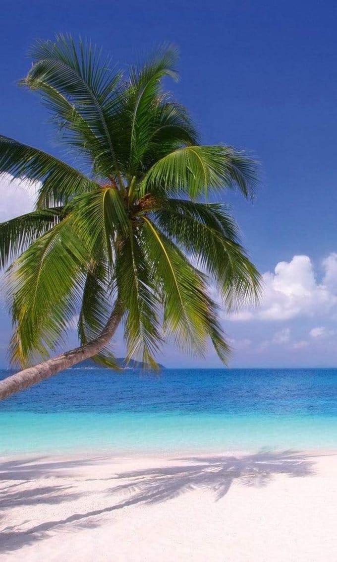 Fotobehang - Beach 150x250cm - Vliesbehang