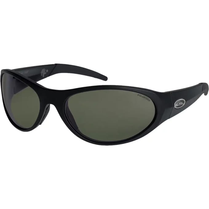 Quiksilver Ellipse Polarized Black Zonnebril groen