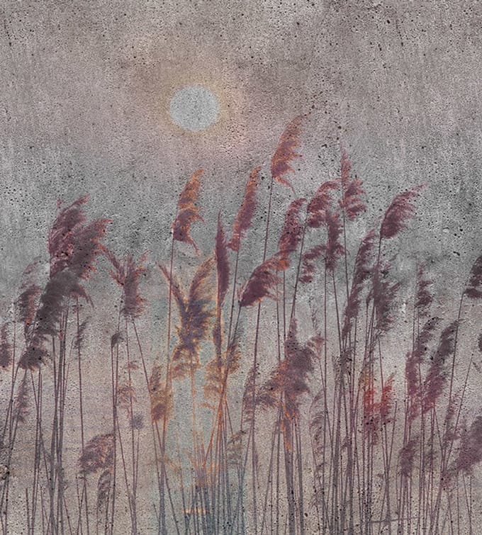 Fotobehang - Reed Abstract 225x250cm - Vliesbehang
