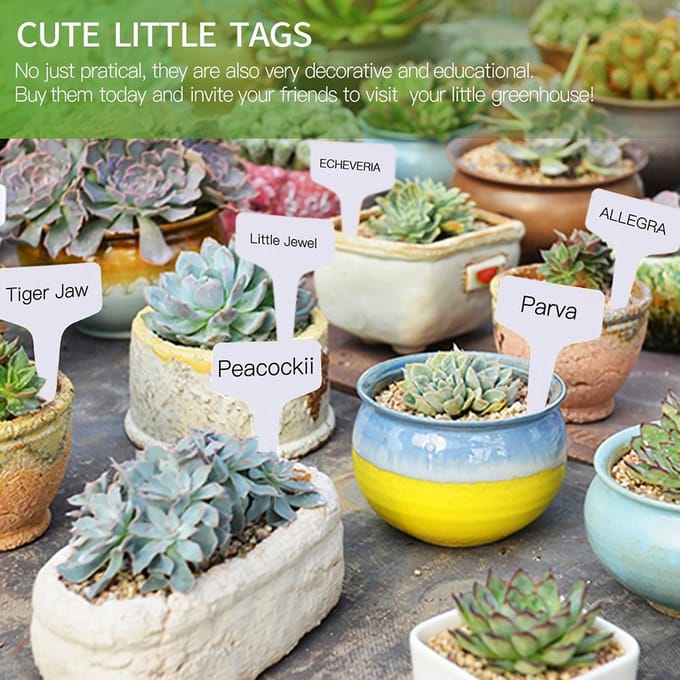 100 stuks PVC Tuinlabels Wit Tuinieren Plant Sorteren Bordje Label Ticket Plastic Schrijfbord wit