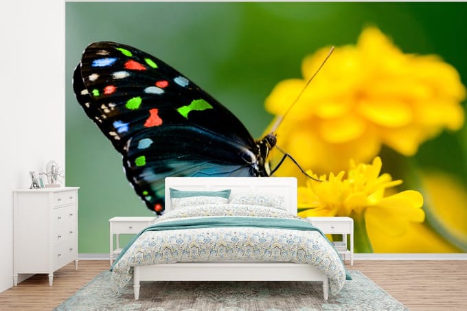 Behang - Fotobehang Vlinder - Bloem - Dier - Insect - Breedte 375 cm x hoogte 280 cm