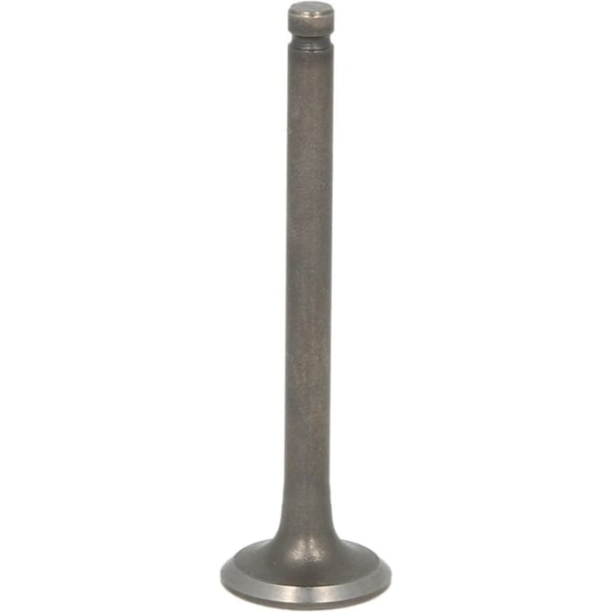 Inlaatklep INPARTS IP000437
