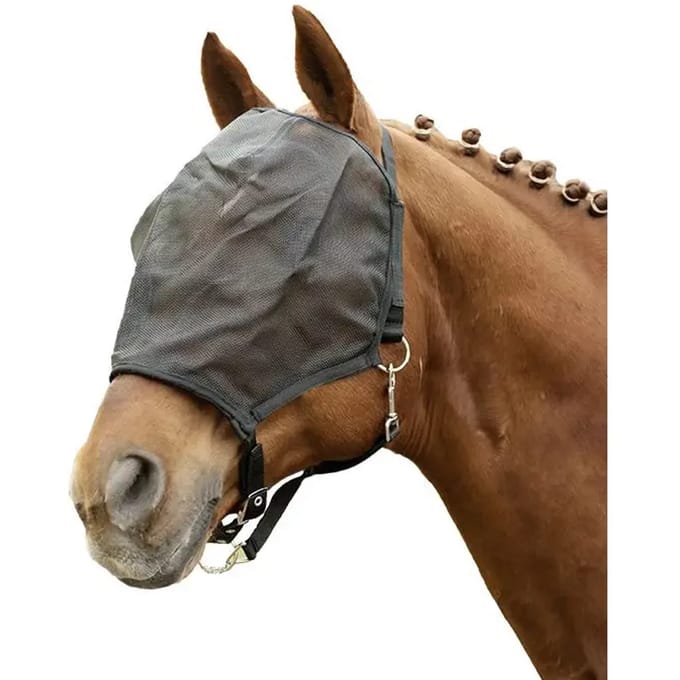 Halster voor paarden HKM
