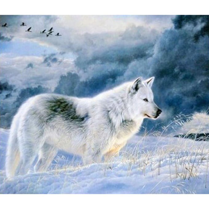 Peinture diamant loup blanc, peinture diamant 5d, strass, broderie complète 20X30CM gray