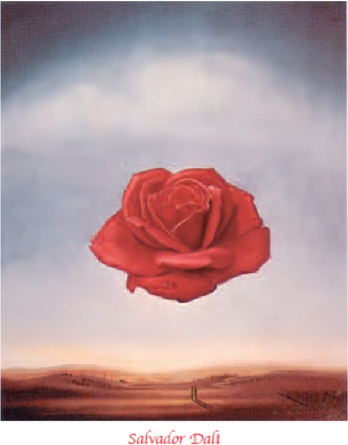 Salvador Dalí - De meditatieve roos - Kunstposter - 40x50 cm