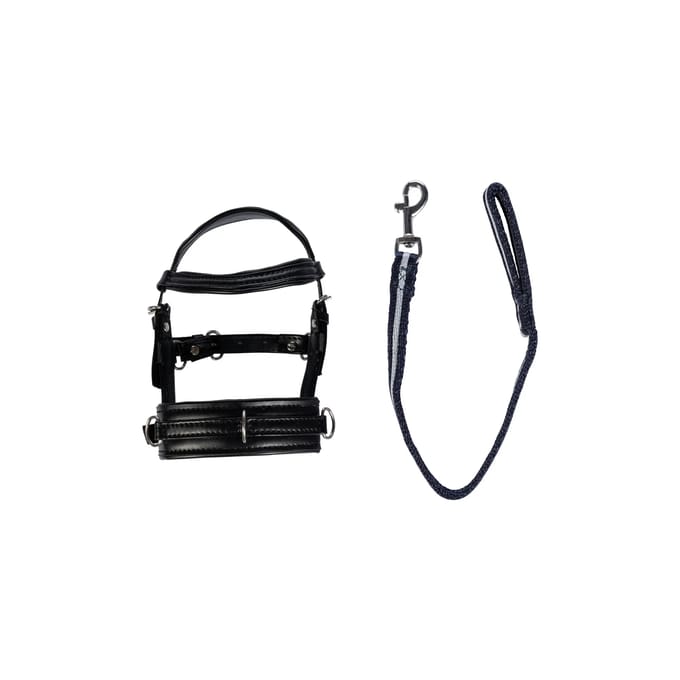 Set voor lange knuffel HKM Kids