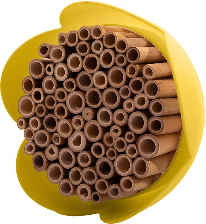Point-Virgule - Insectenhotel - Bijenhotel - Gele bloem - 20cm