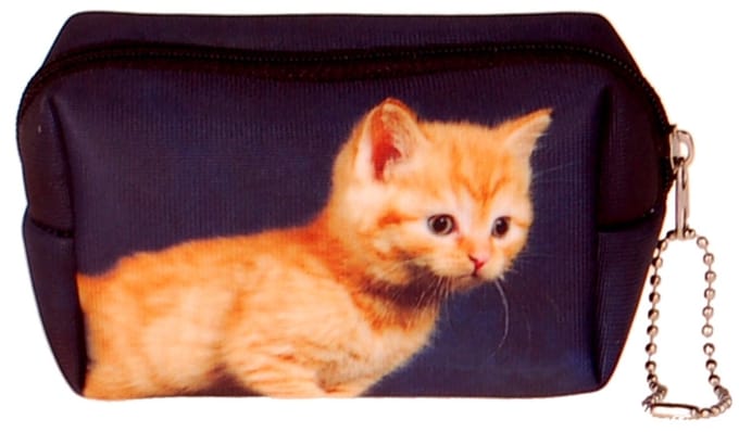 Kleine etui/klein toilettasje poes