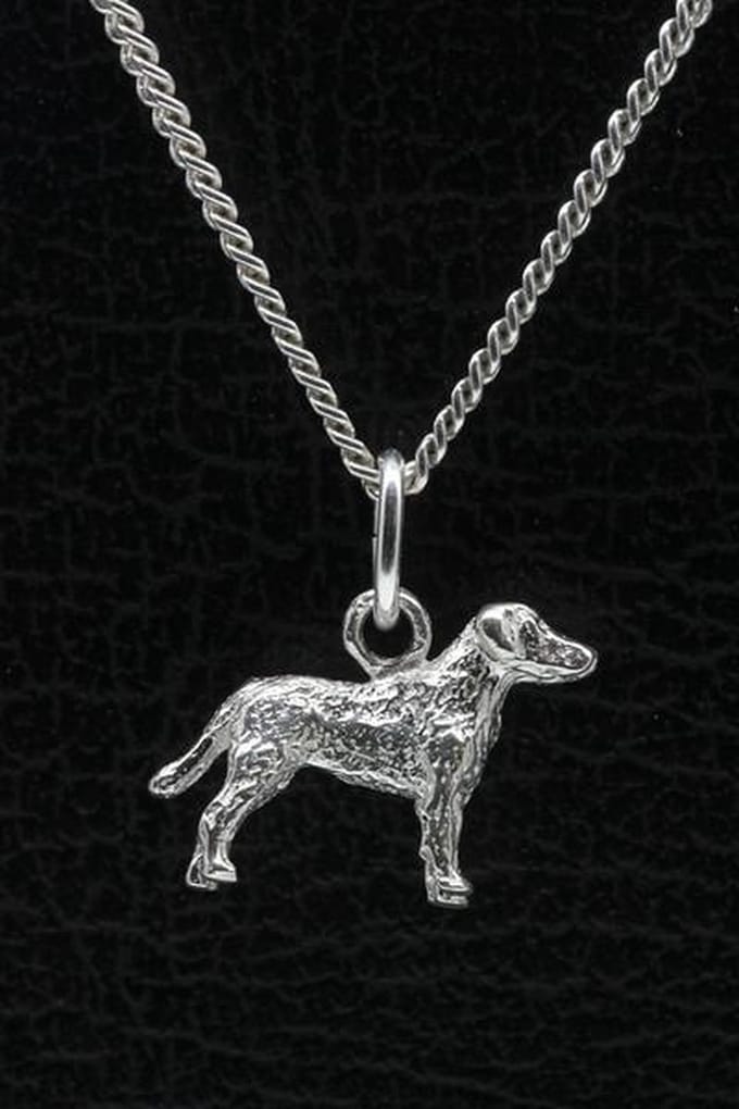 Zilveren Chesapeake bay retriever ketting hanger - klein